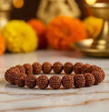 7 Mukhi Rudraksha Bracelet